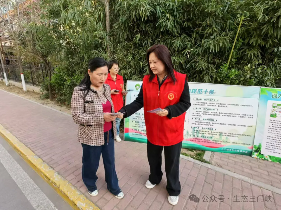 640.webp (1).png